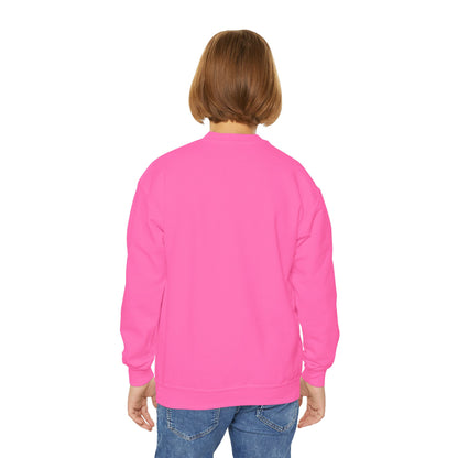 Fiddle Player Fox Youth Sweatshirt