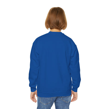 Fiddle Player Fox Youth Sweatshirt
