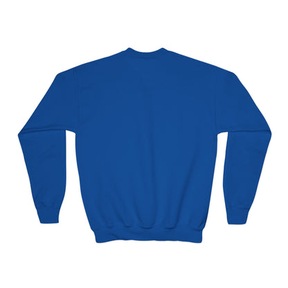Fiddle Player Fox Youth Sweatshirt