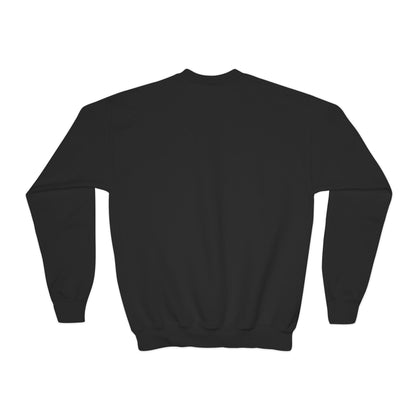 Fiddle Player Fox Youth Sweatshirt