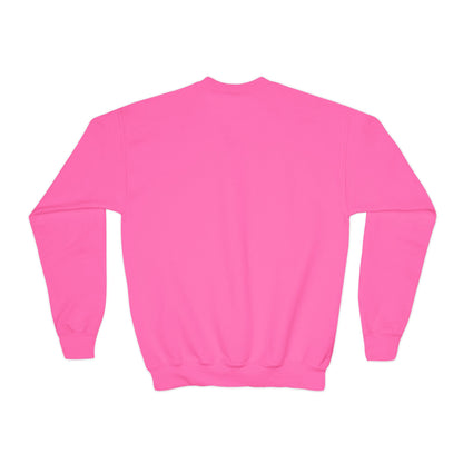 Fiddle Player Fox Youth Sweatshirt