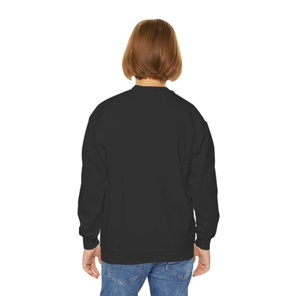 Fiddle Player Fox Youth Sweatshirt